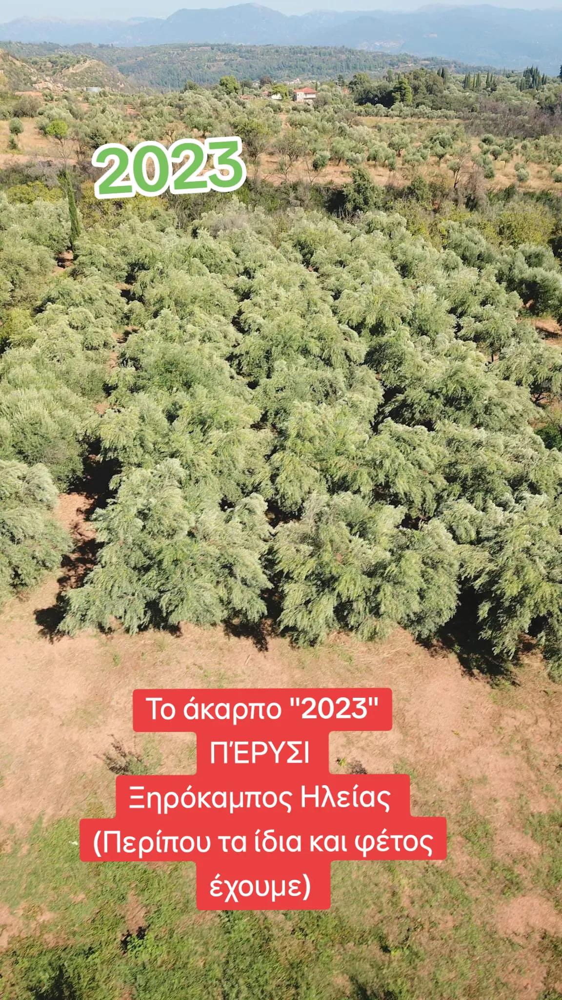 @&Alpha;&gamma;&alpha;&lambda;&iota;&alpha;&nu;ό&sigmaf; &Iota;&omega;ά&nu;&nu;&eta;&sigmaf; &Gamma;&epsilon;&omega;&pi;ό&nu;&omicron;&sigmaf;