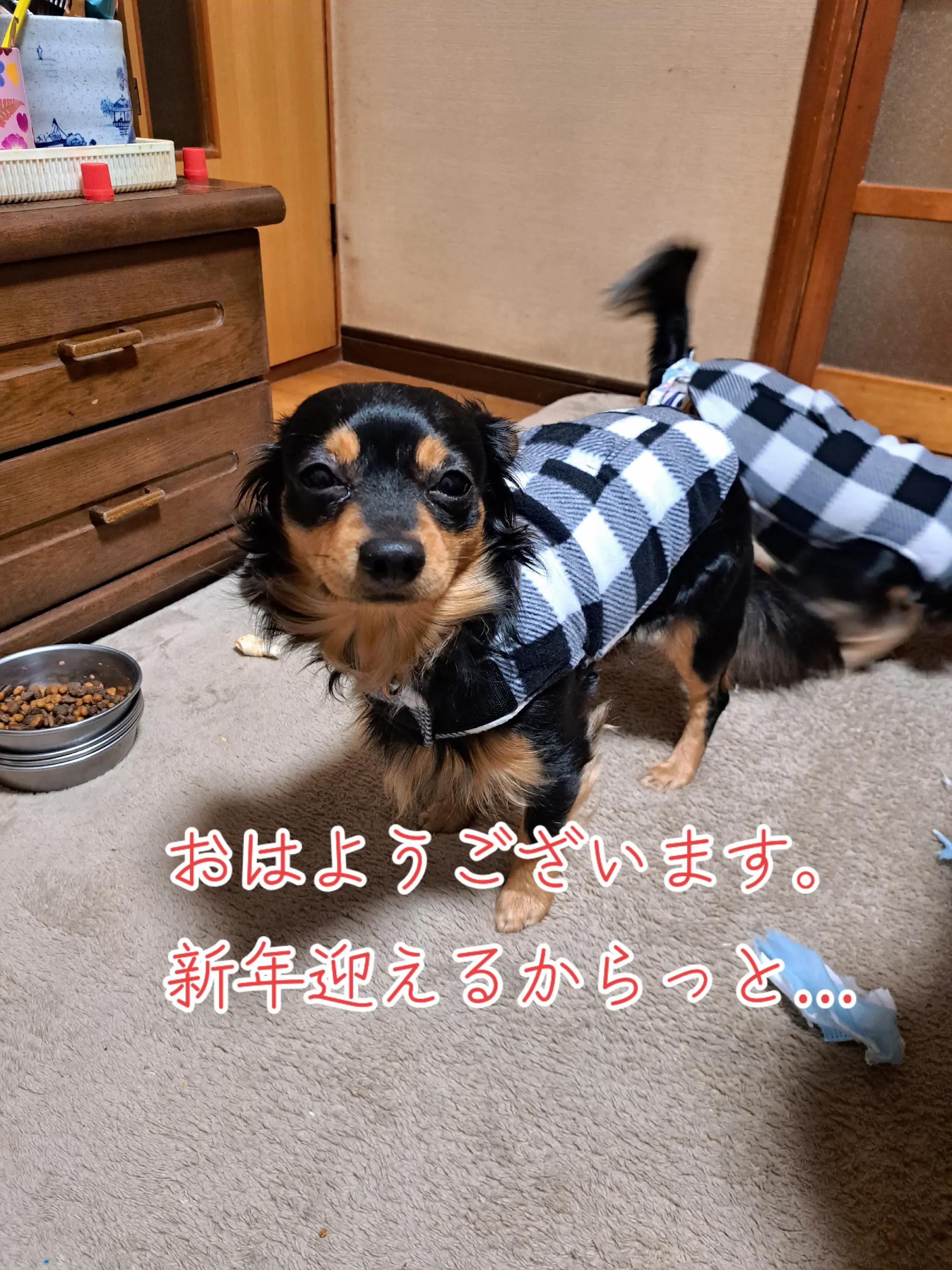 @タケヤッコ