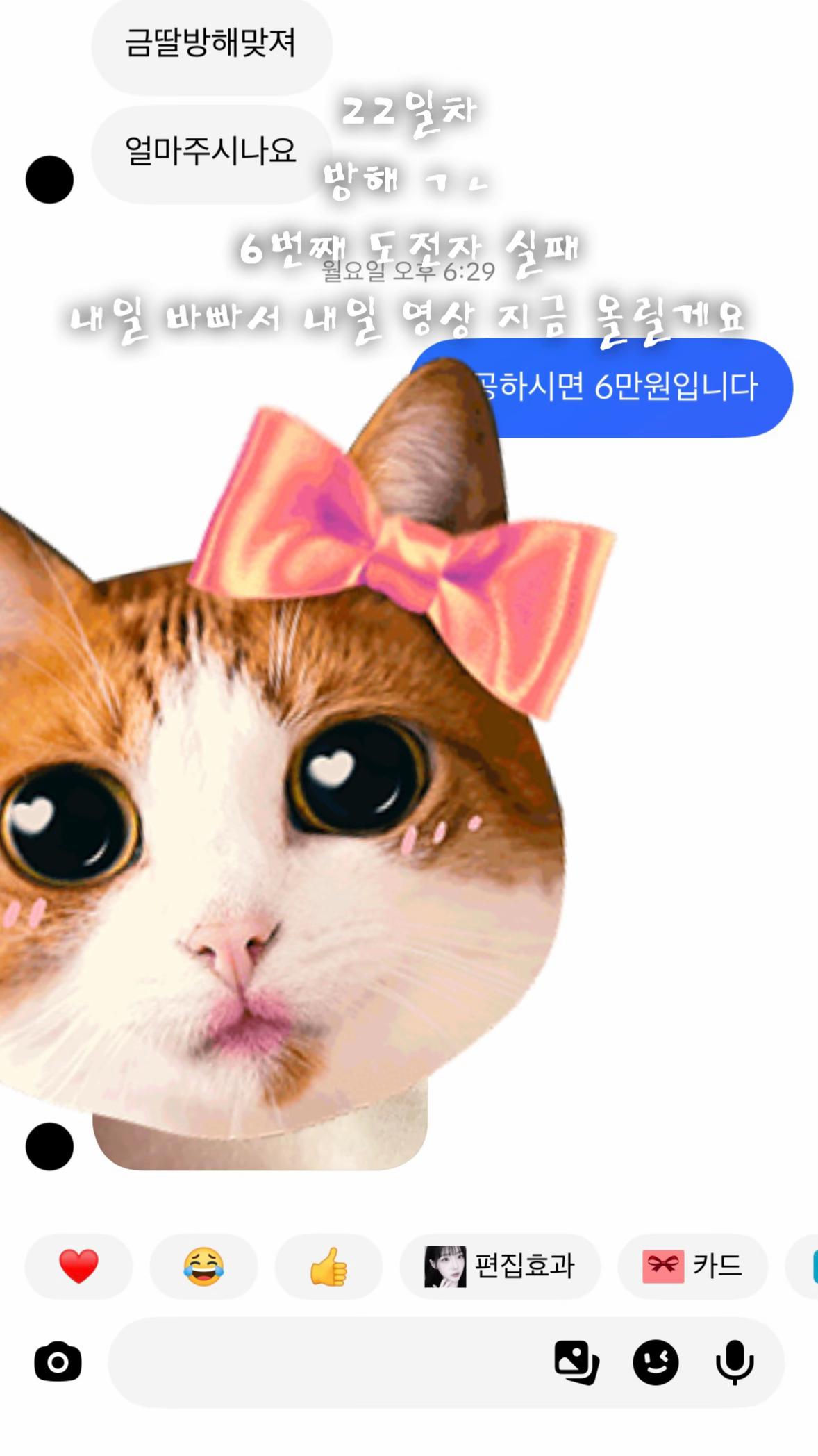 @금딸