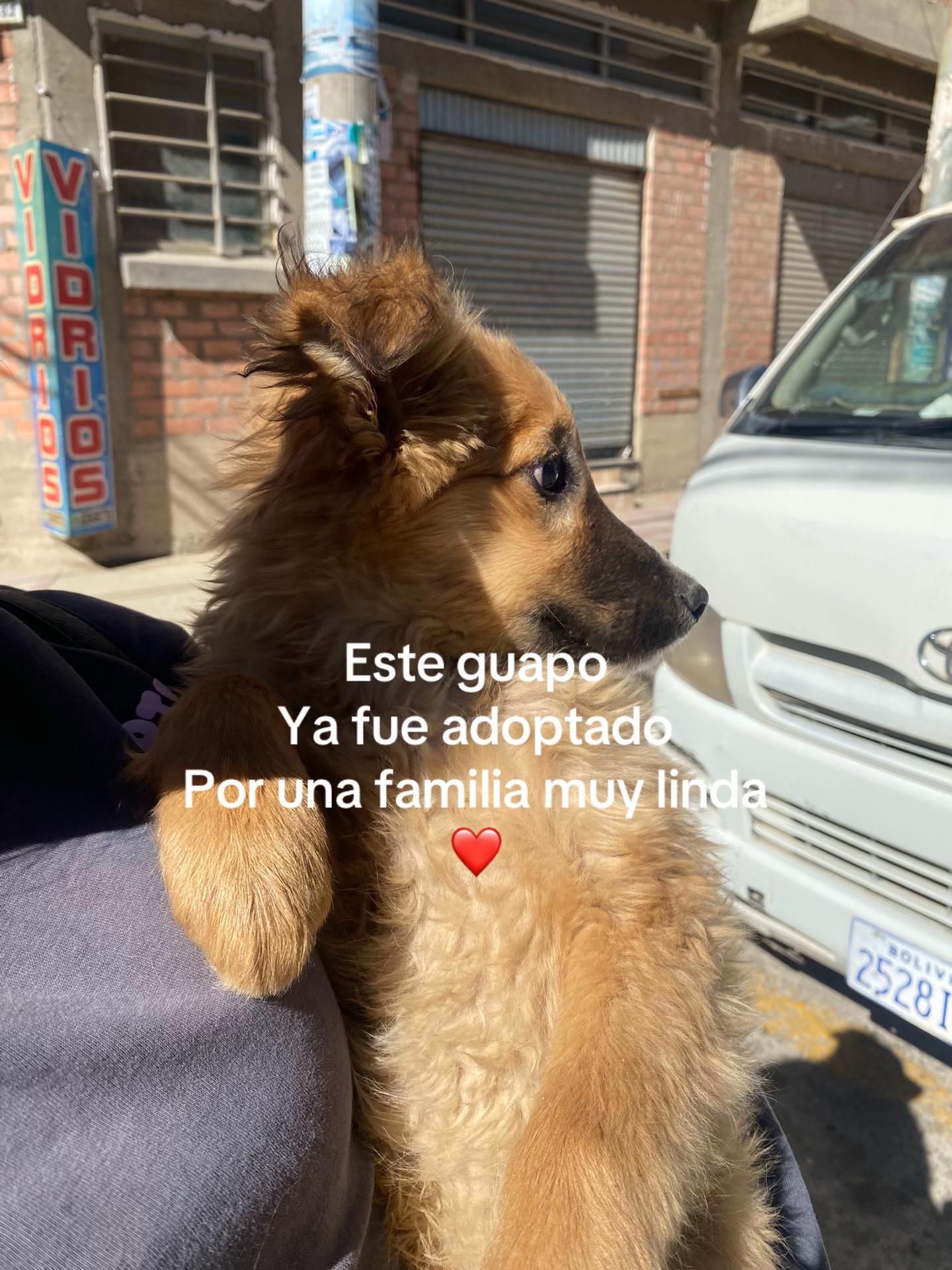 @Oveja💌