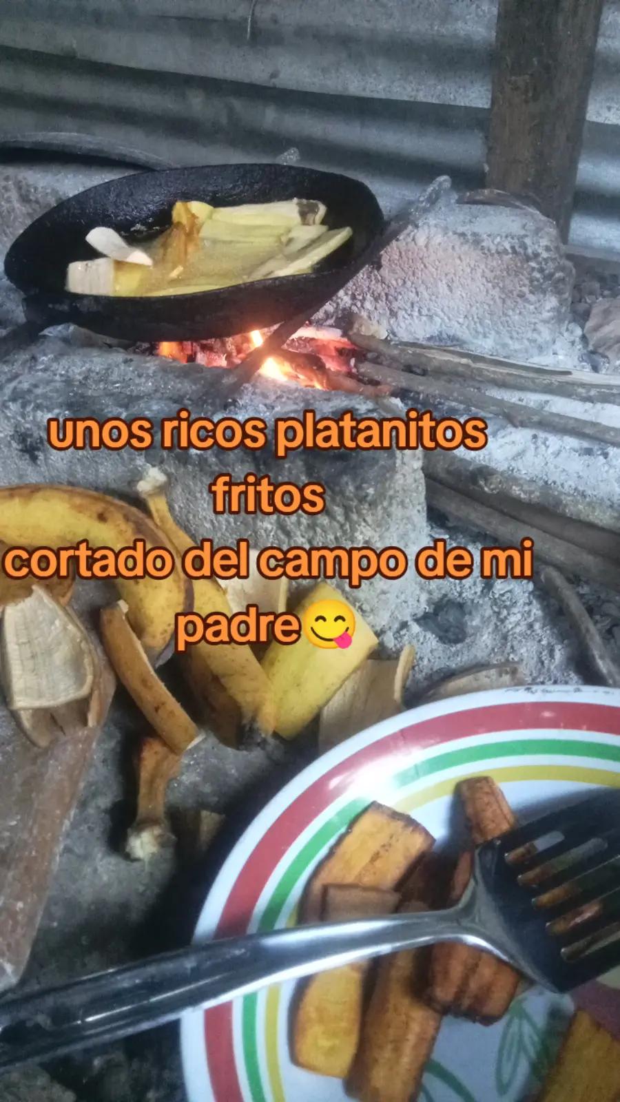 @elda Chipol