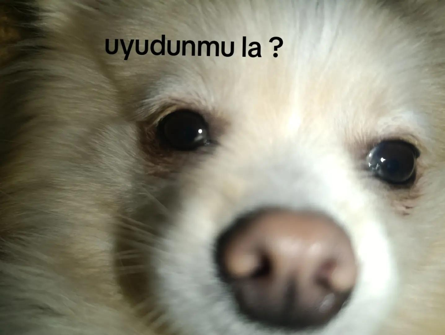 @🥷 EYMEN 🥷