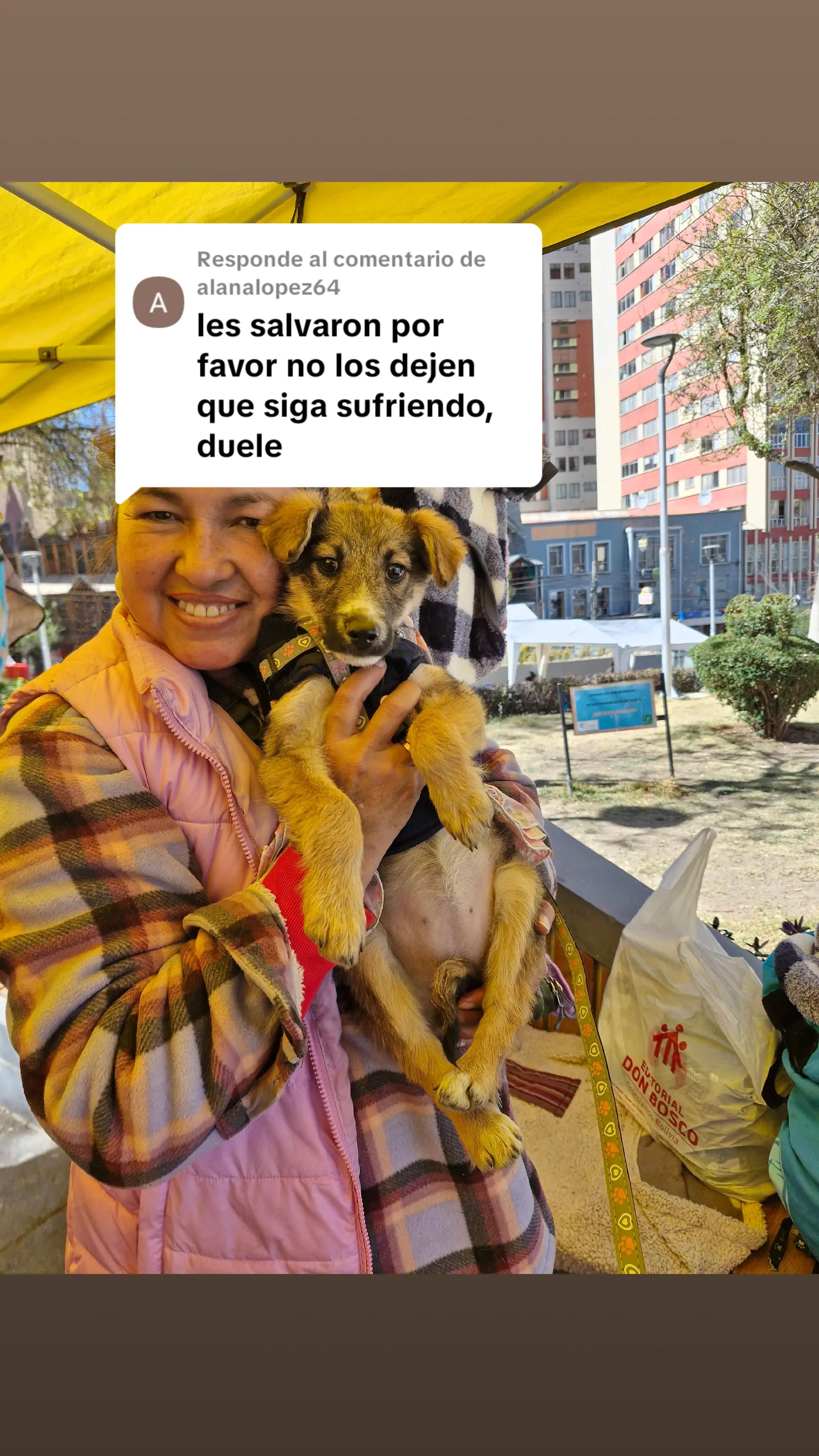 @Fundacion Huellitas