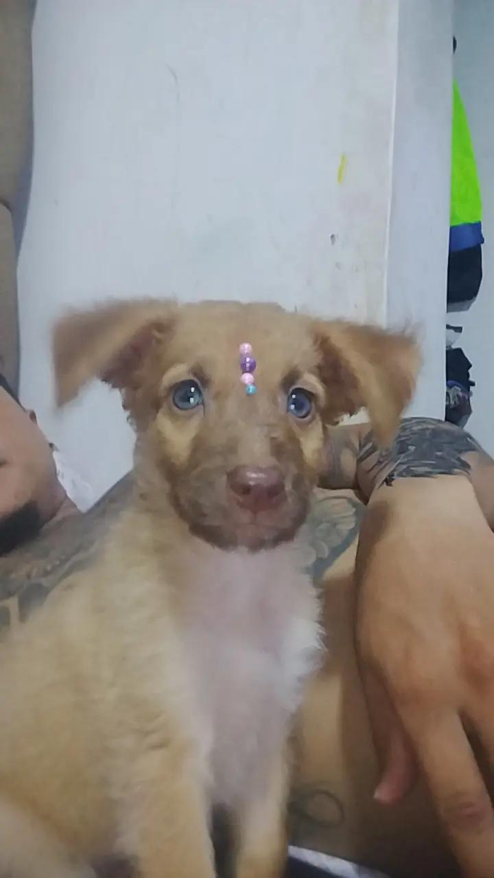 @luis Carlos González