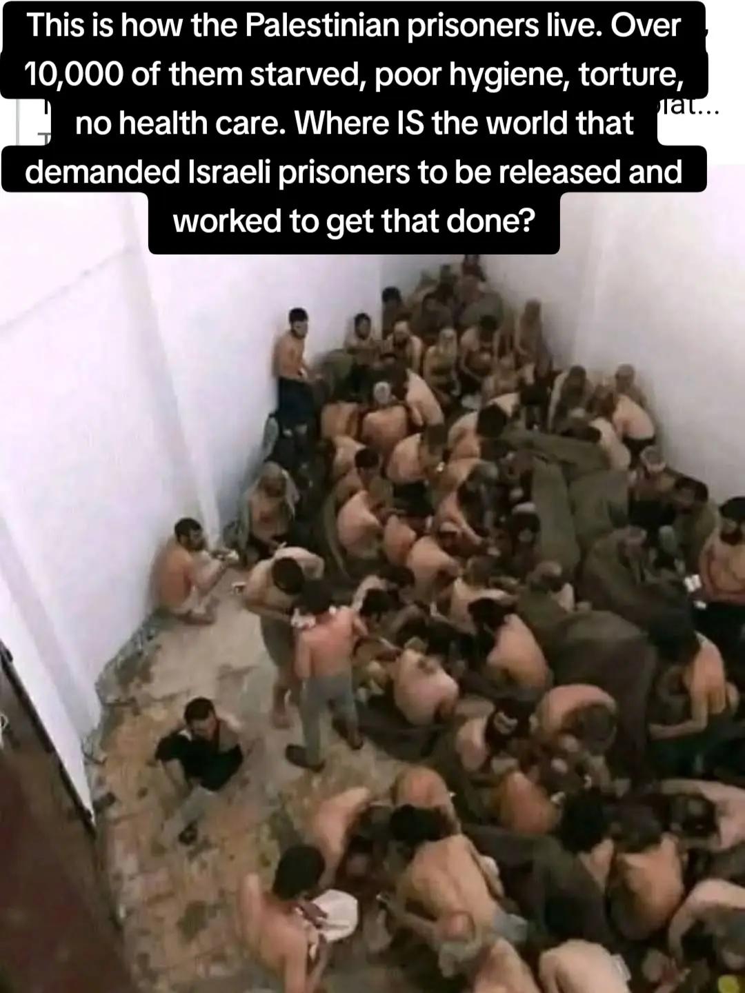 @Amina🇮🇪🇵🇸