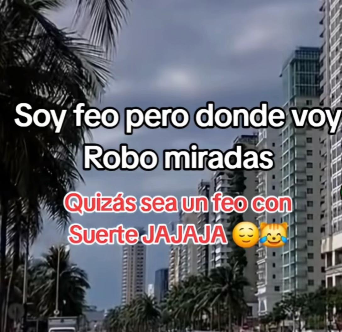 @Melodía Gamez