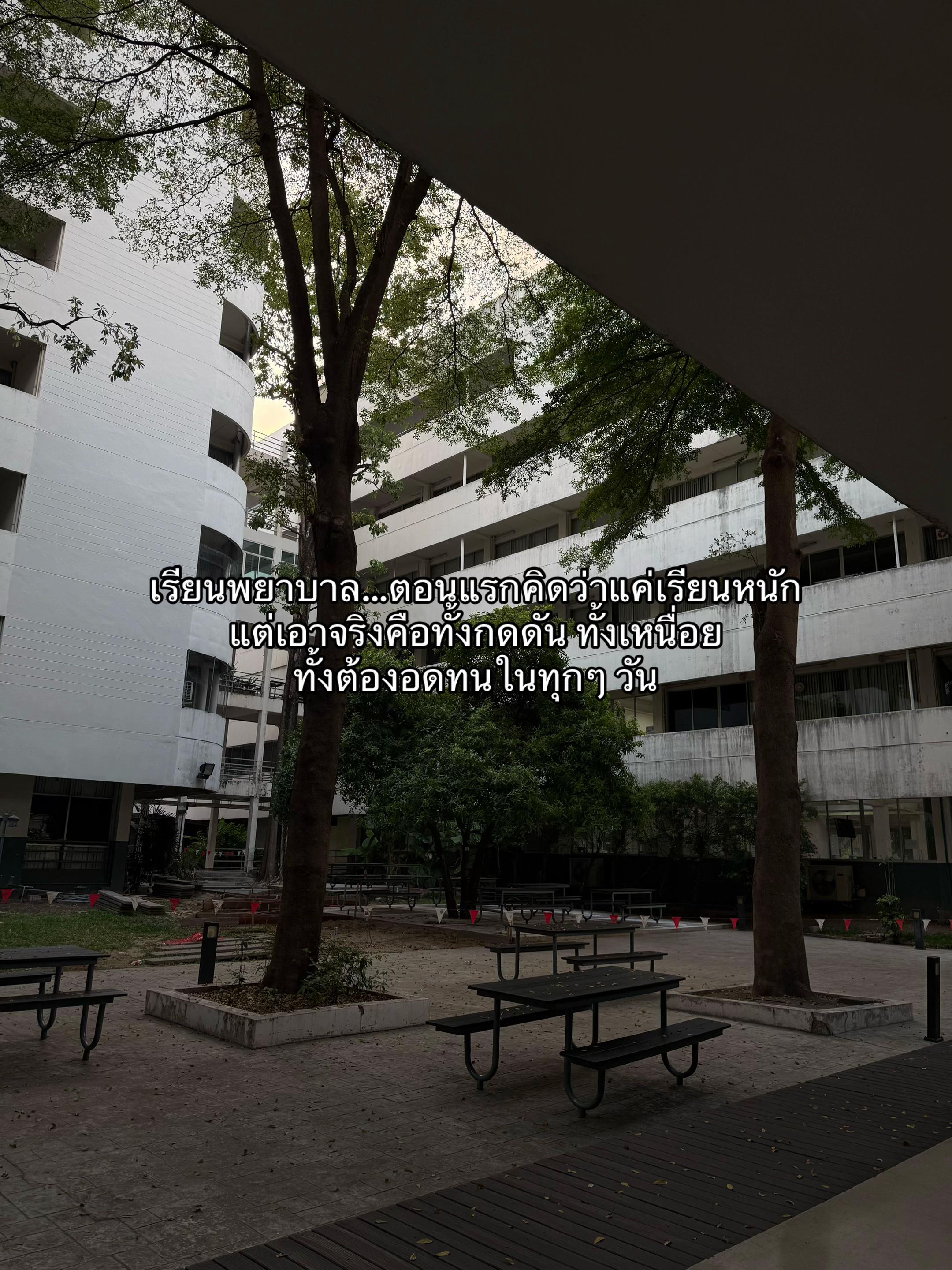 @หนูออม