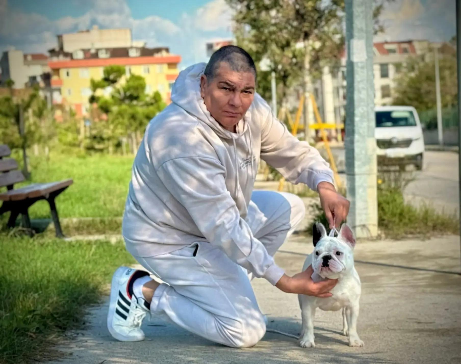 @Bosphorus Bulls French Bulldog