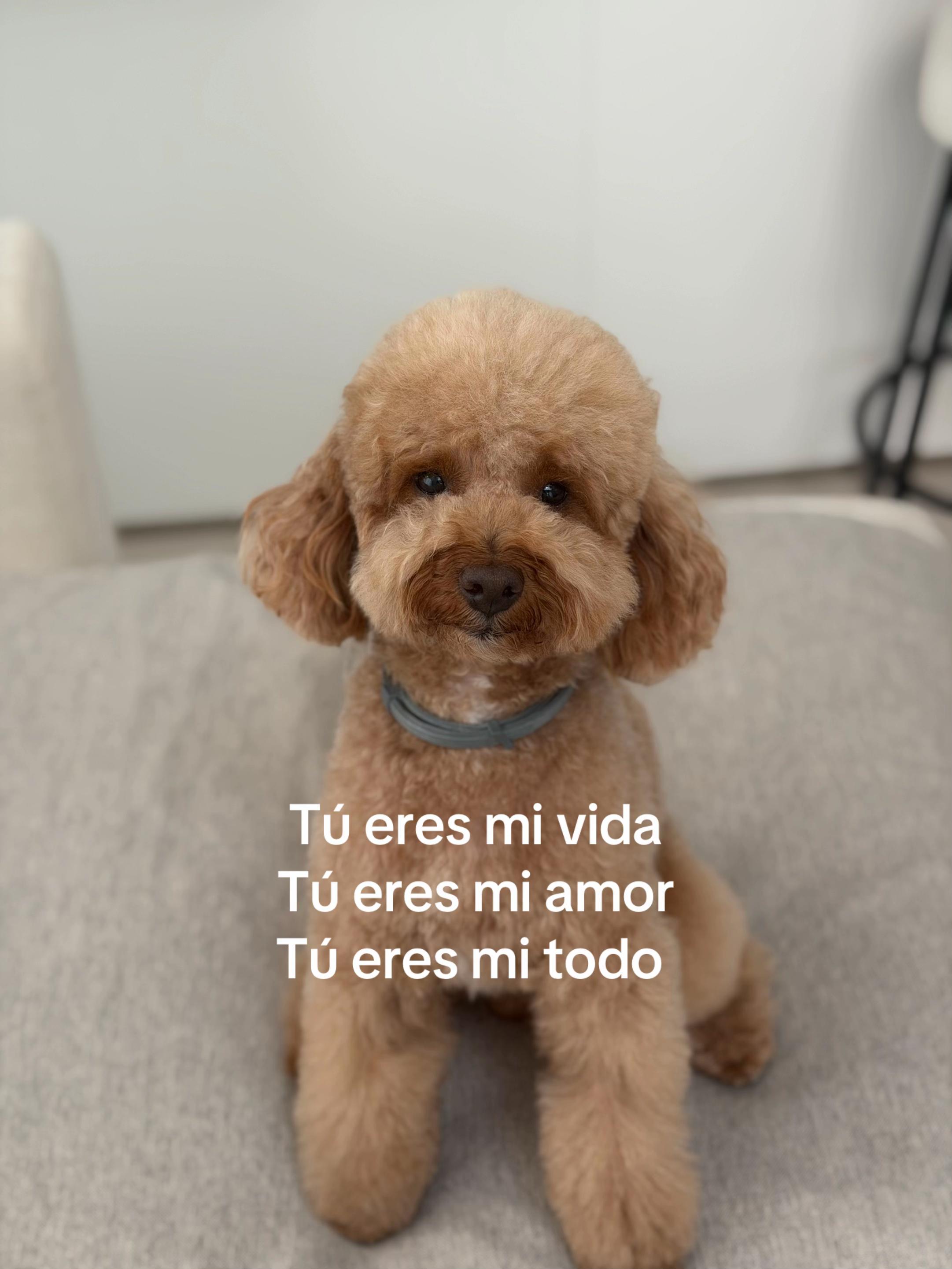 @Val