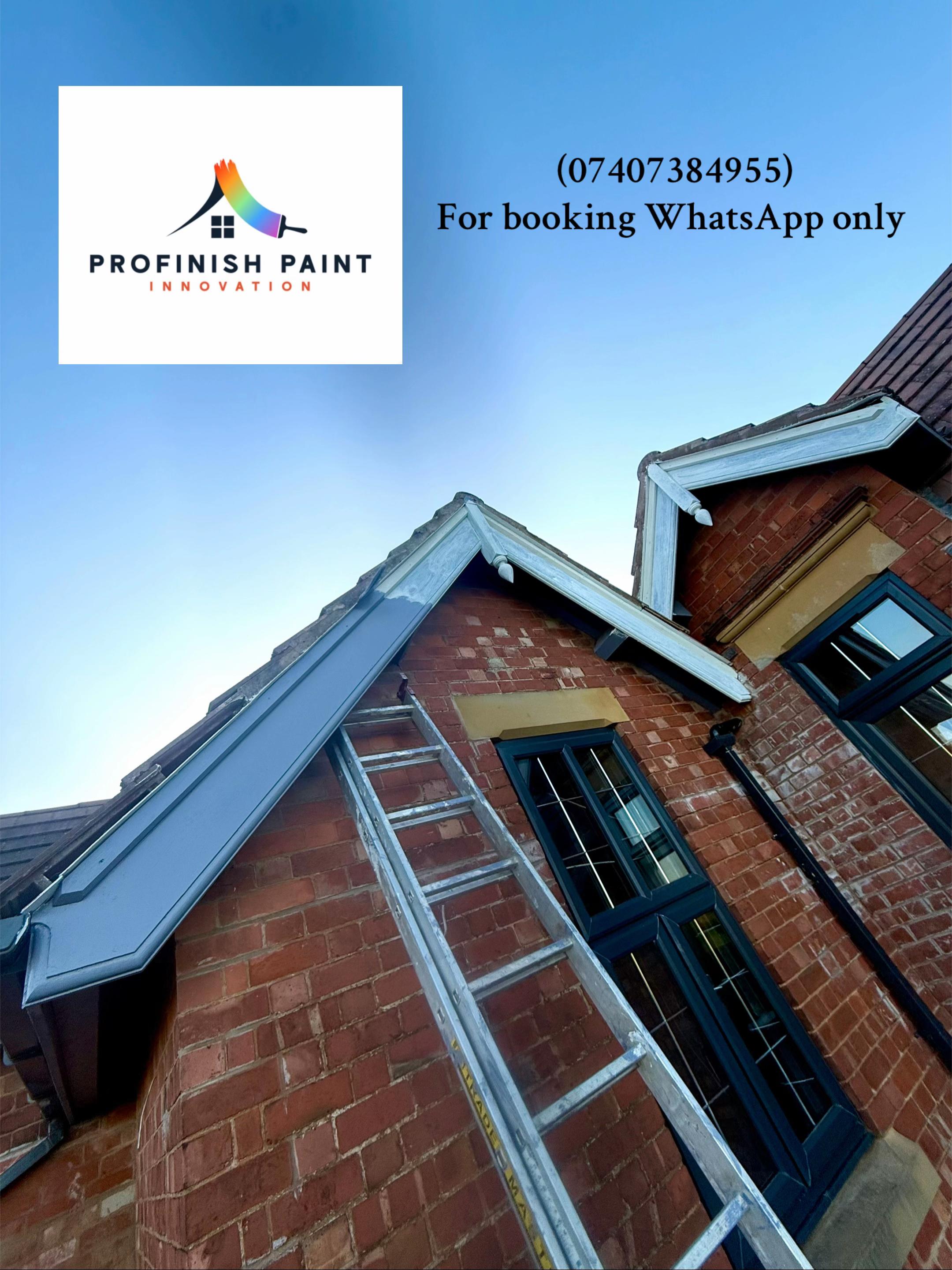 @Profinish paint innovation
