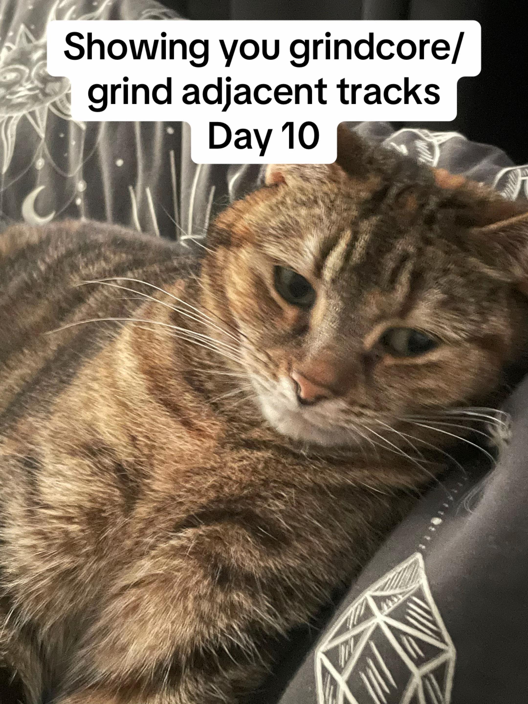 @Zak Ⓐ🎛️