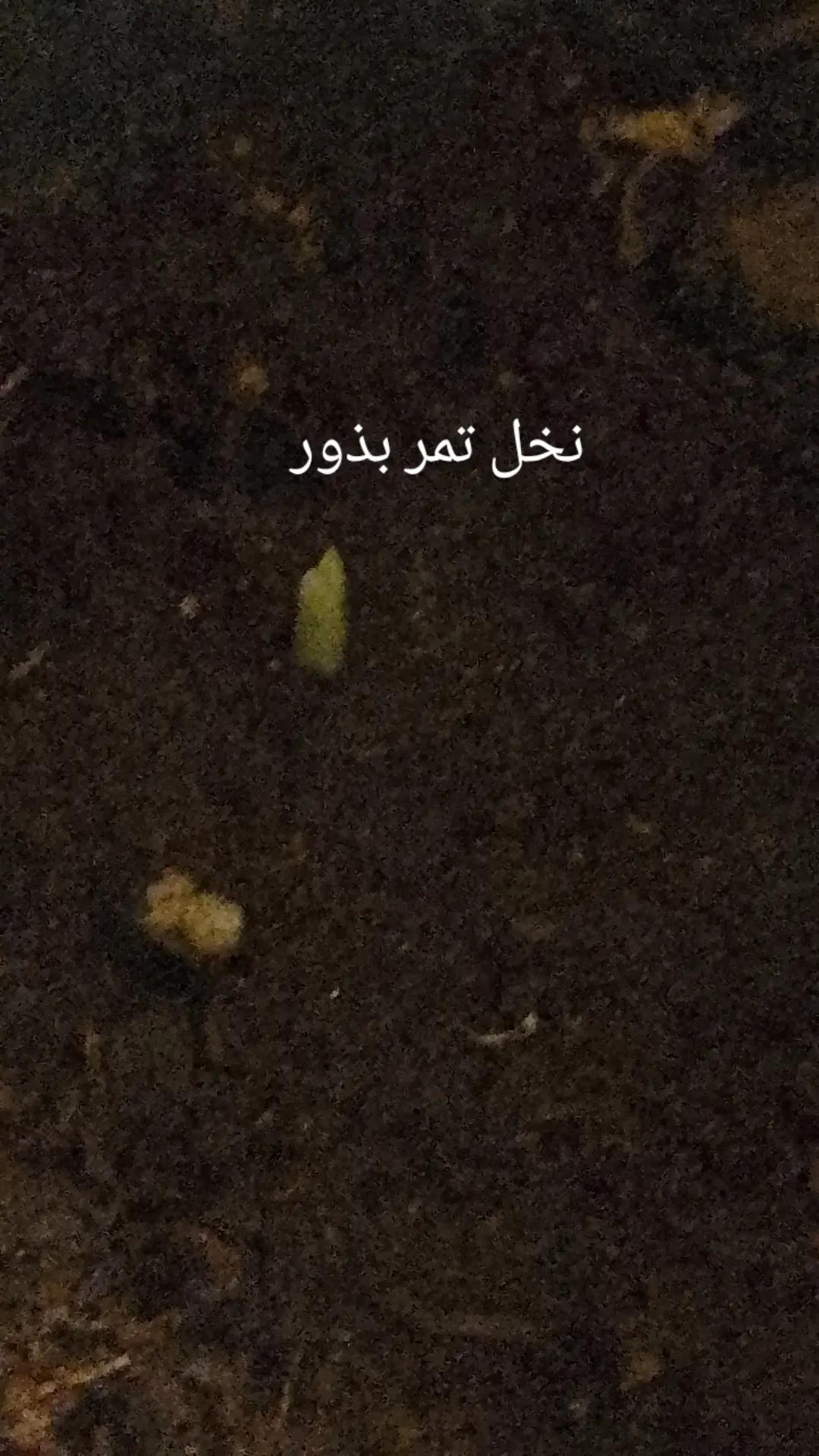 @.Ab