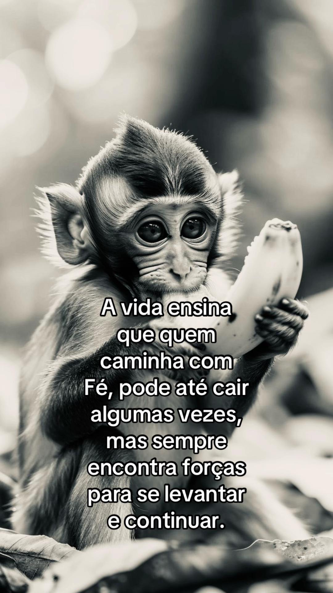 @junin 