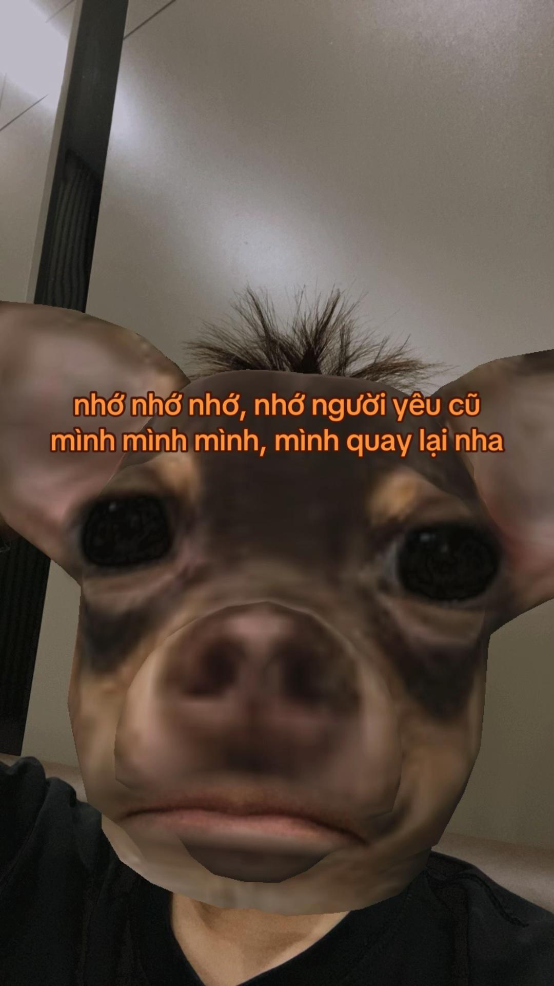 @mặt dính khẩu trang