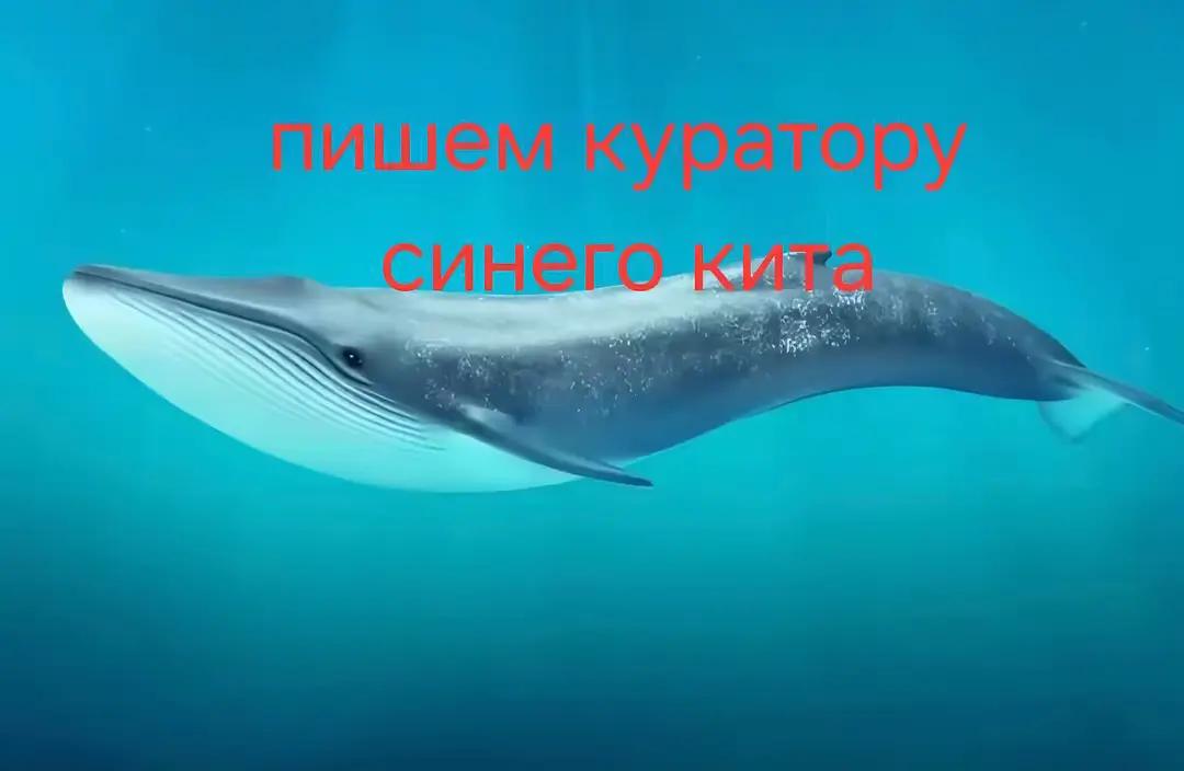 @🆂🅿🅾🆁🆃🅸🅺