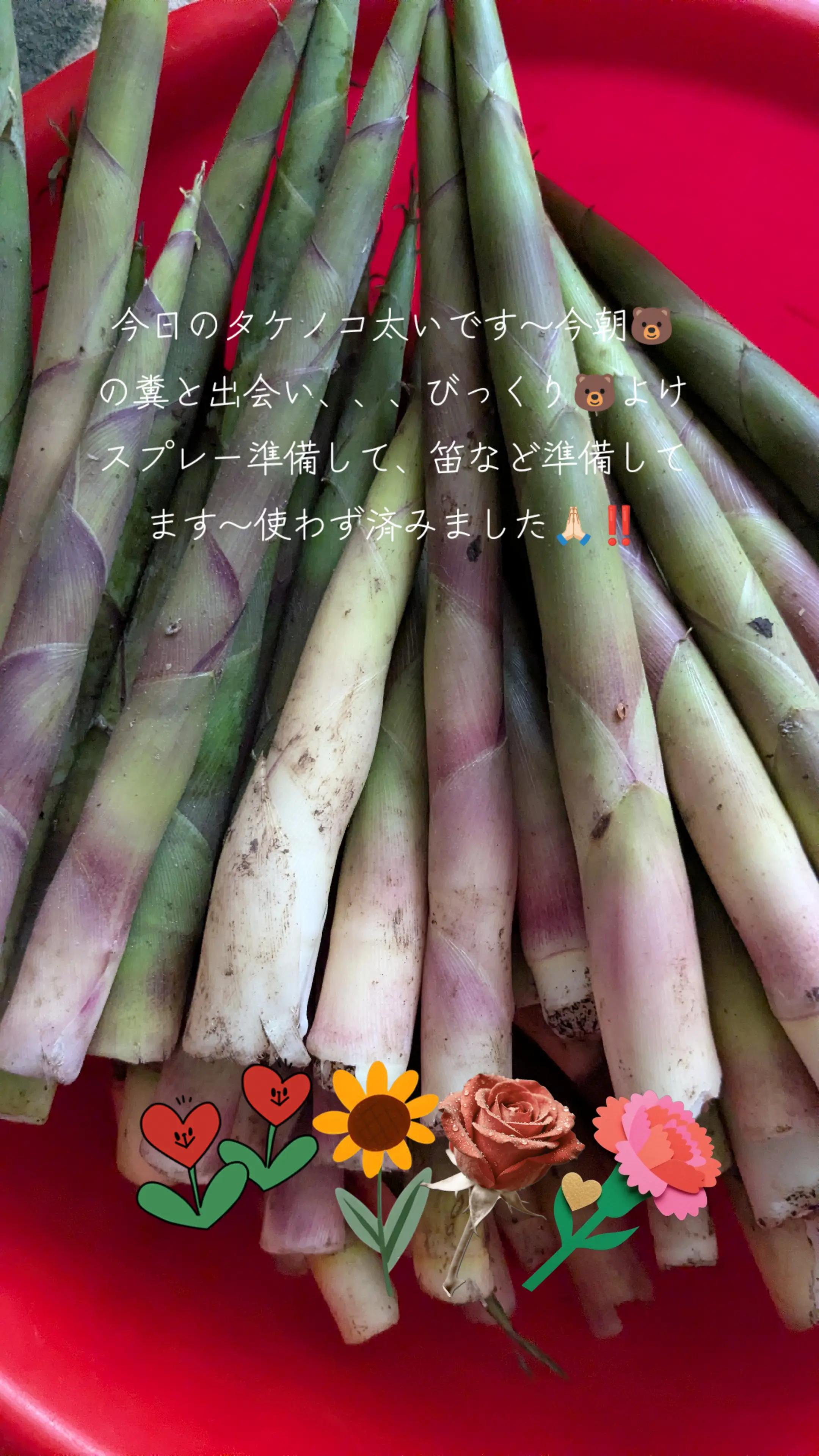 @ๆๅญ๐๐ฌ๐ง๐