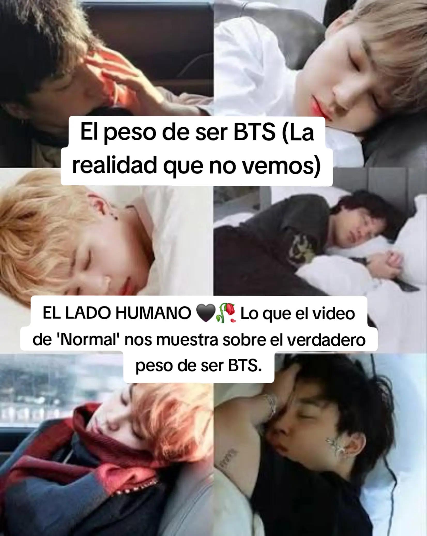 @엘리베스 o Elibeth 🤭