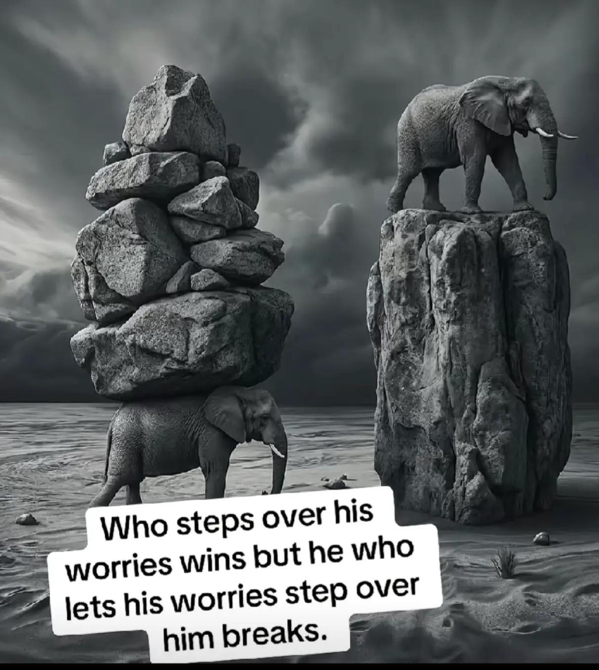 @Everest_Cowboy