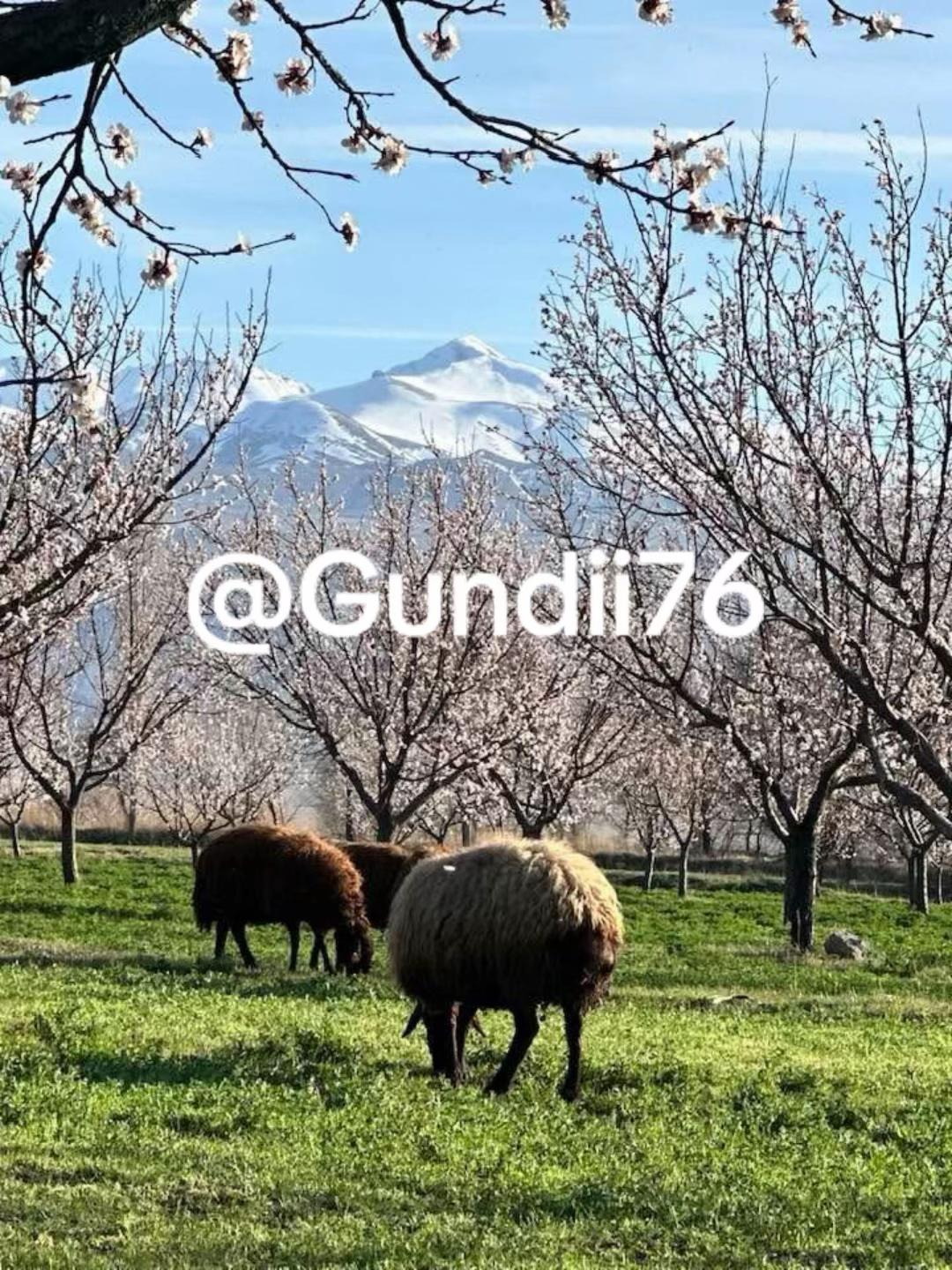@✌️Kêçâ kurd'a✌️
