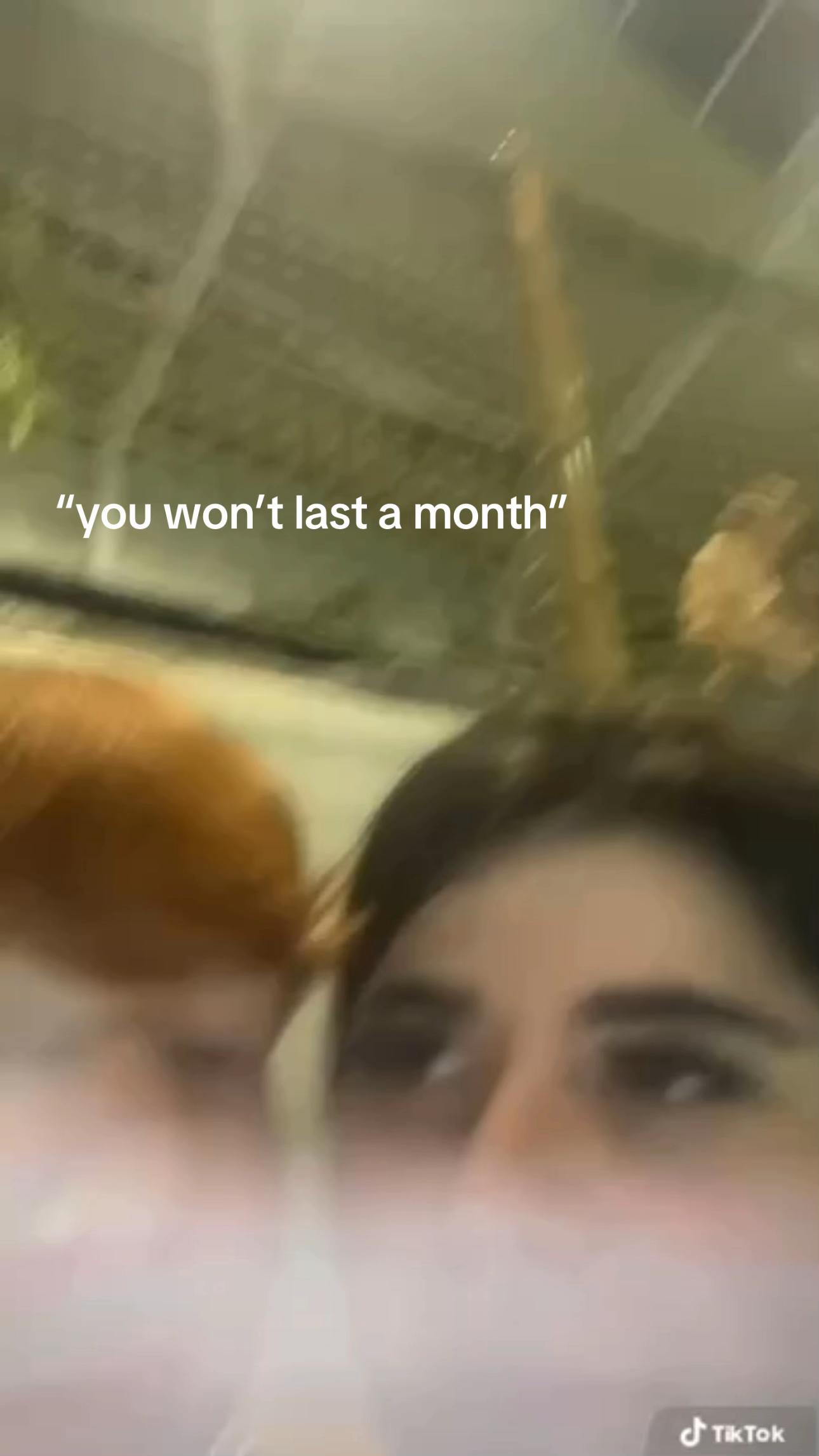 @millielouise