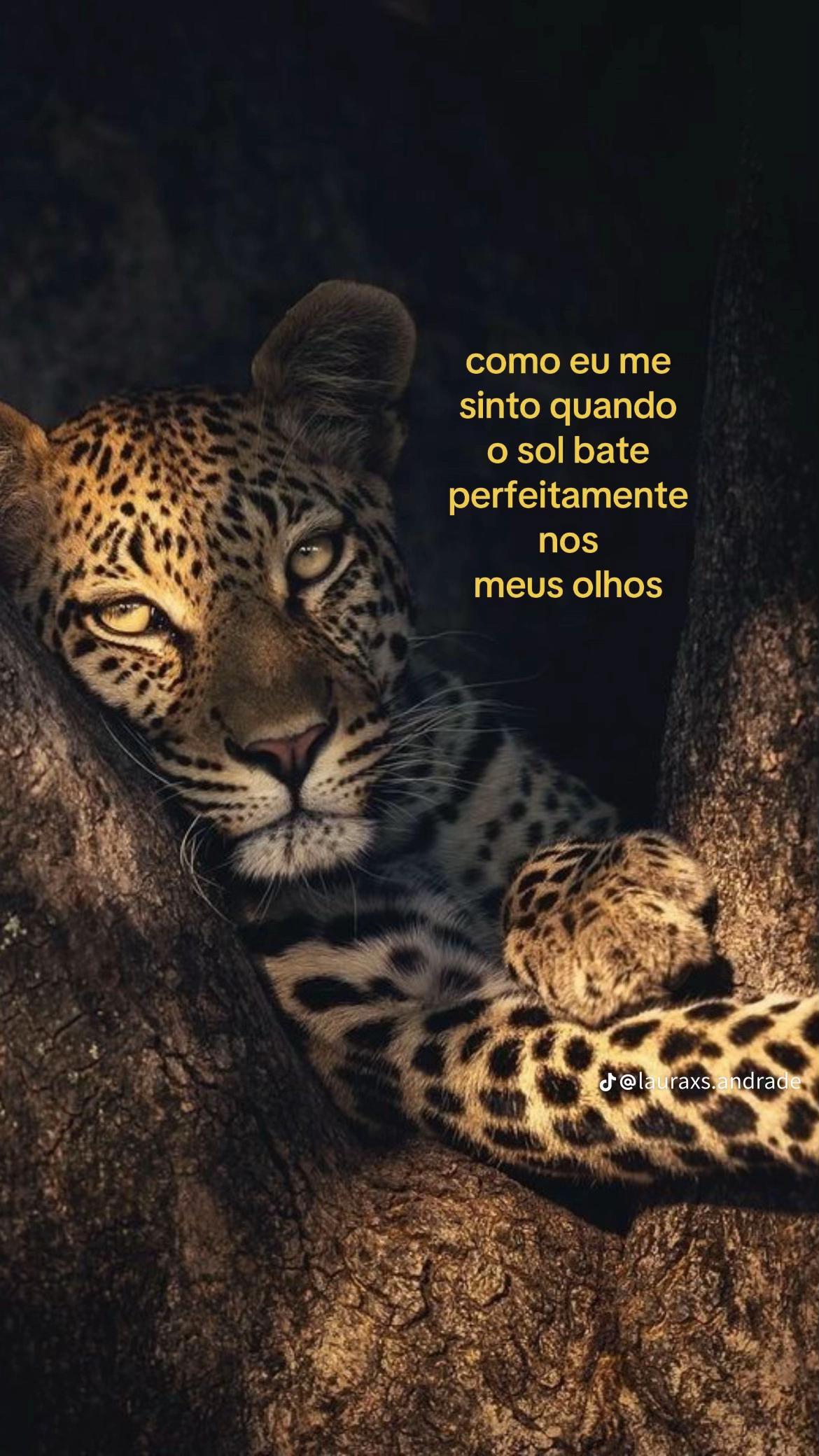 @cecy