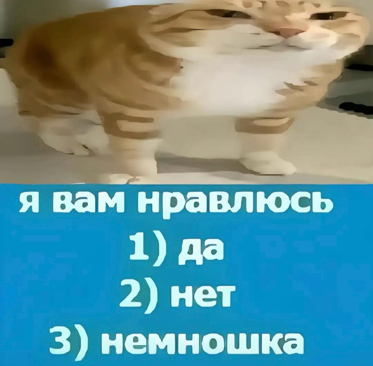@whosimiran