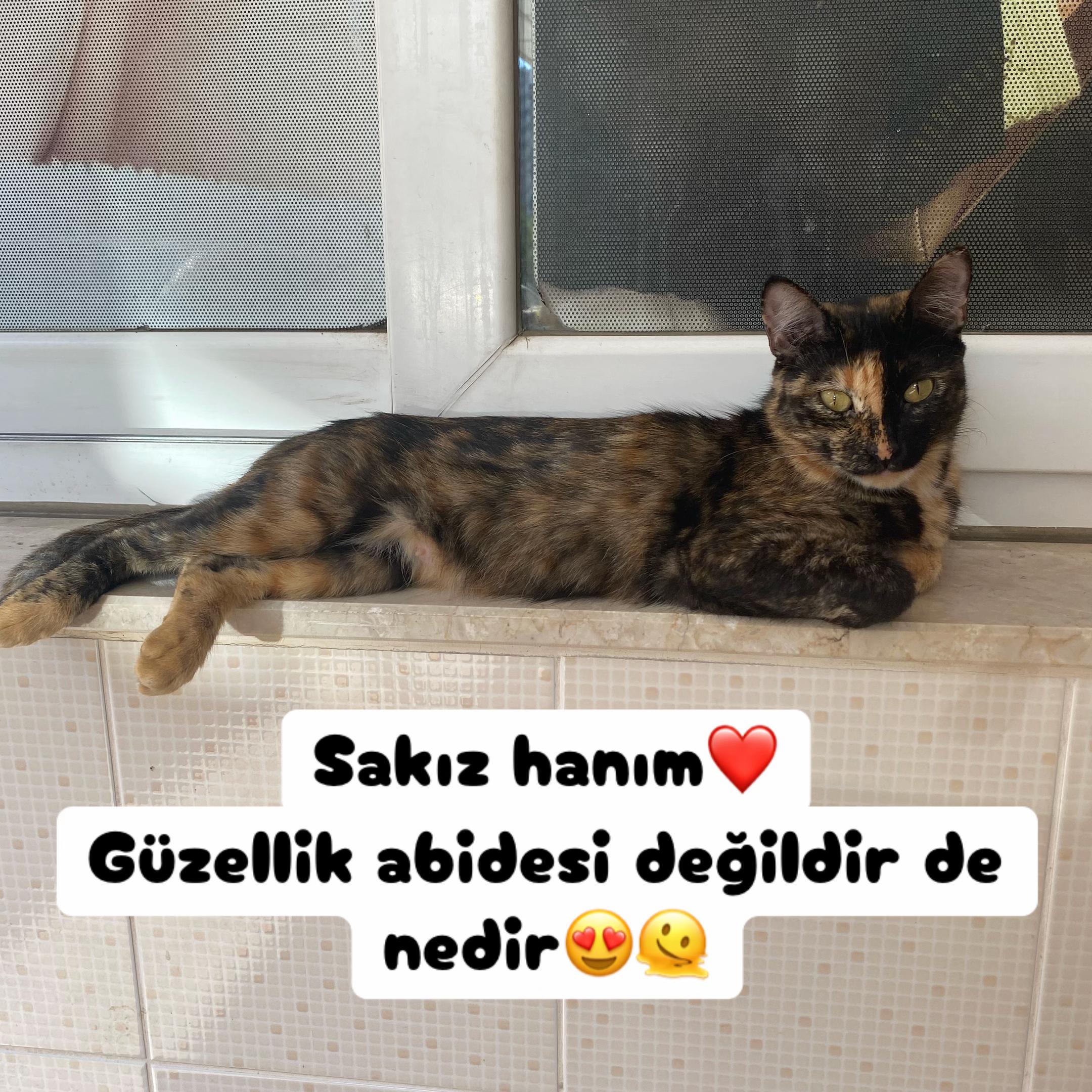 @Şapkalı Kadın