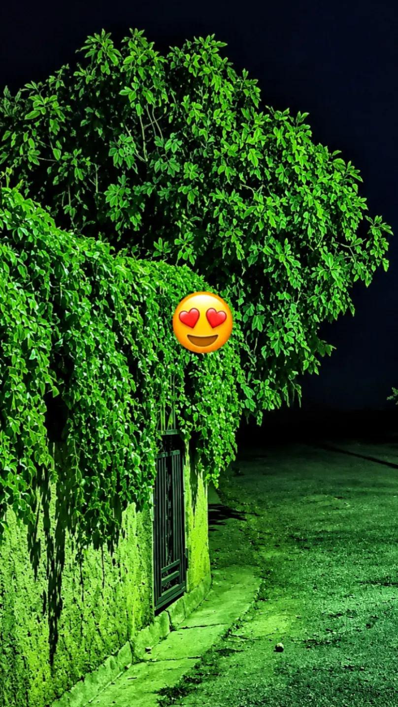 @𝓘𝓶𝓮𝓭𝓸𝓾🪬♾️