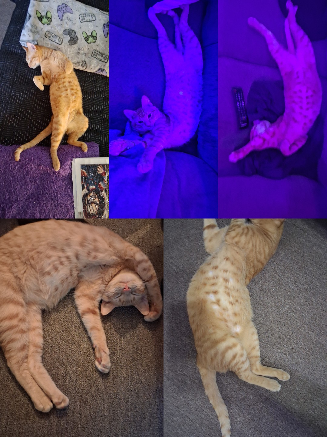 @ƁÌĞƁÂMƁŮ