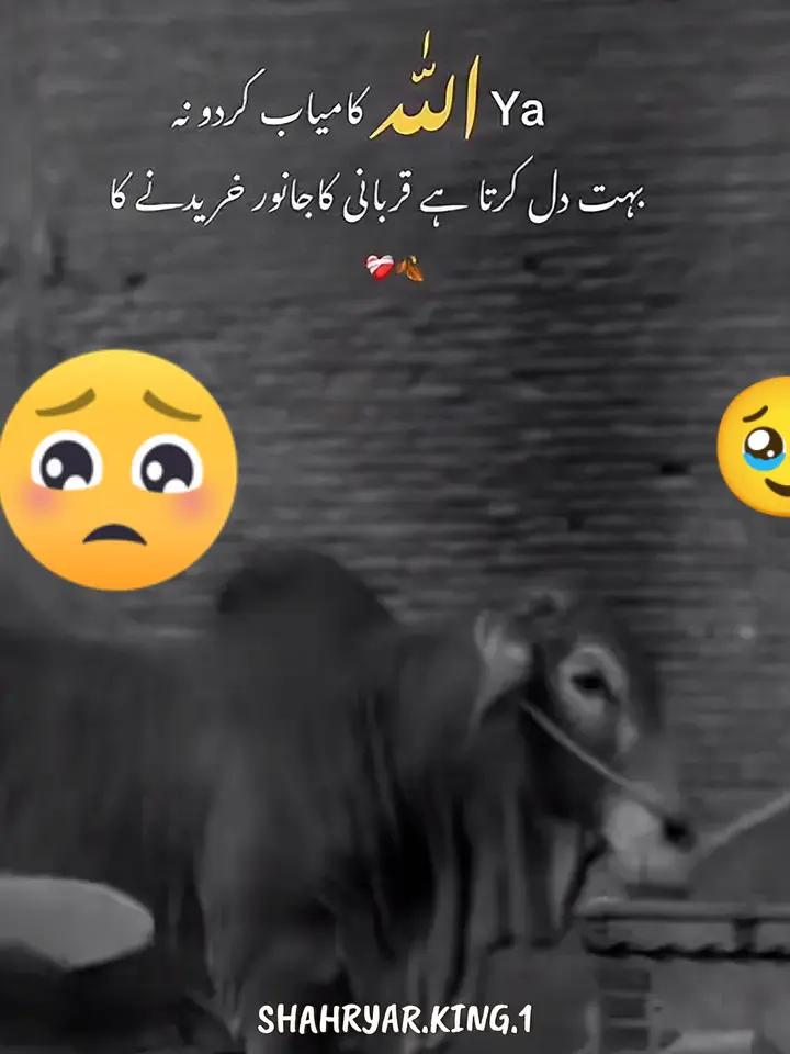 @uk brand