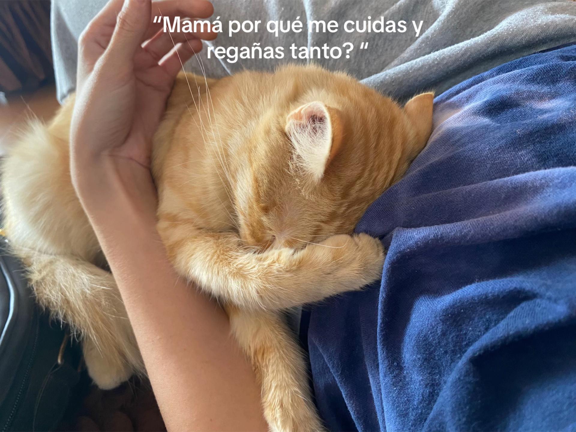 @Pilatilda