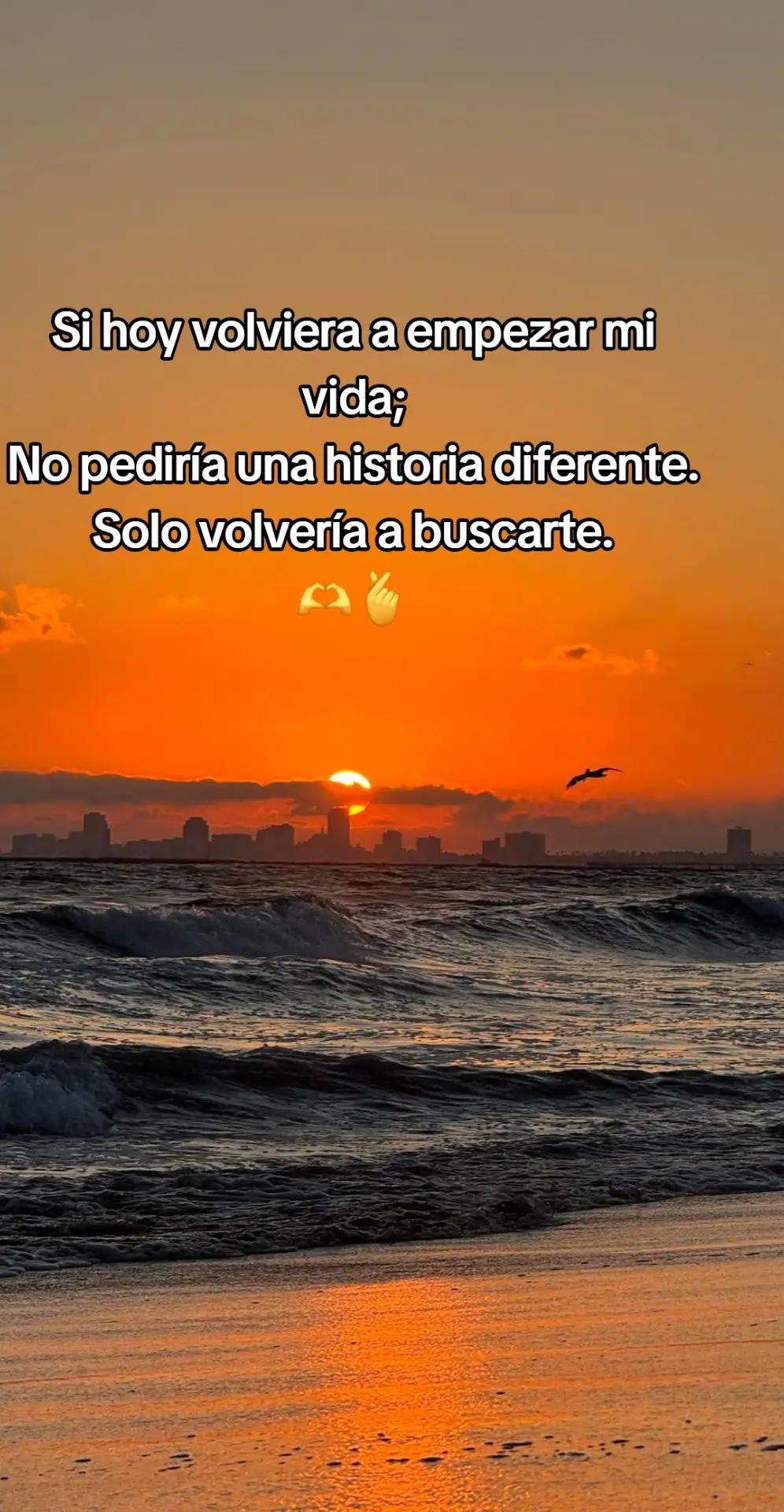 @Celene Fernandez