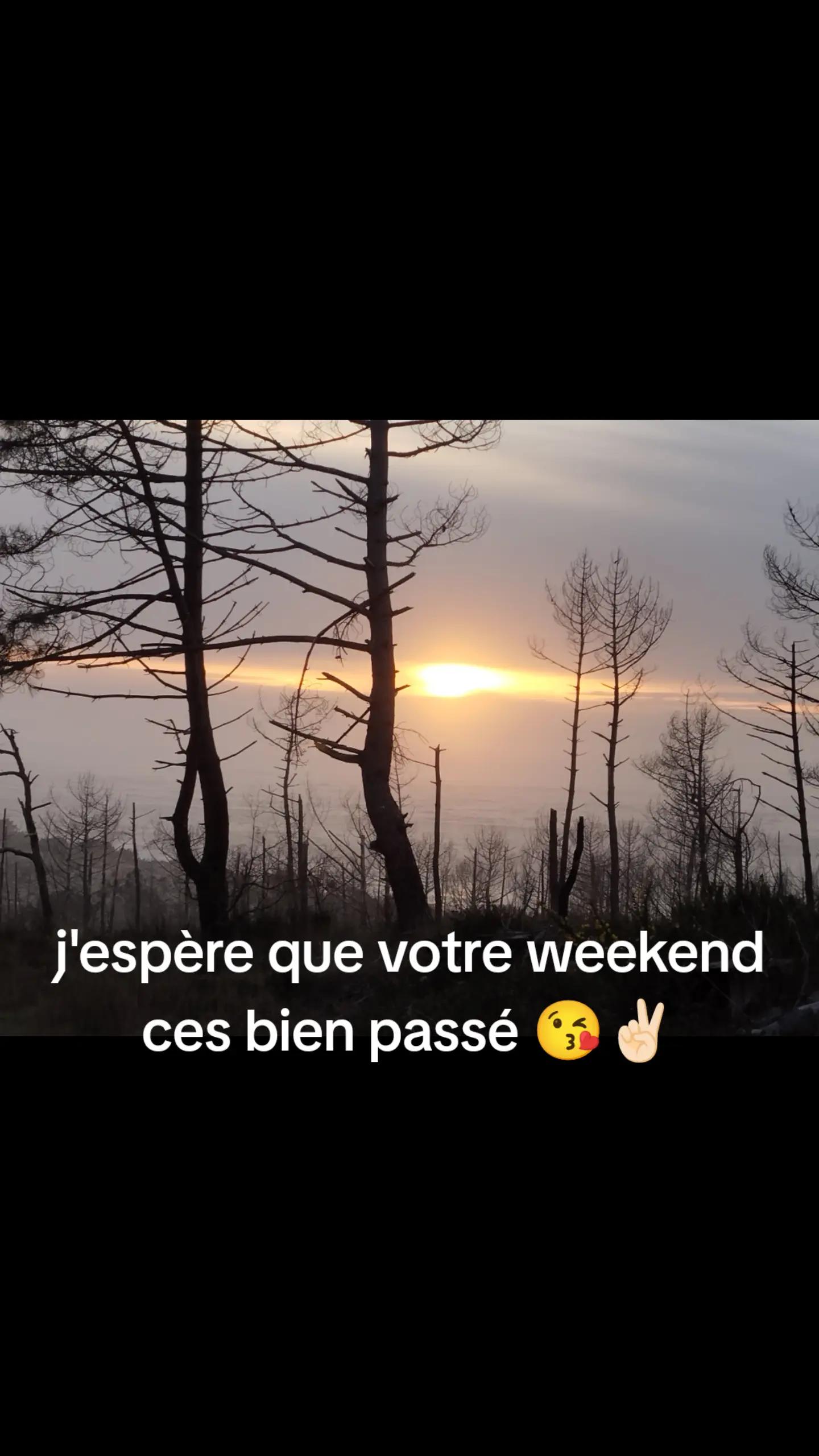@Ludovic Simon