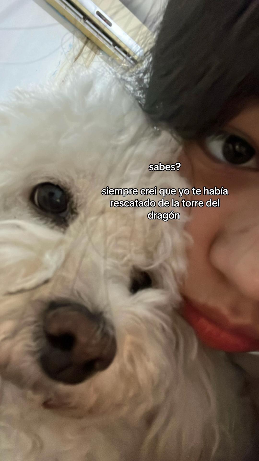 @mimi