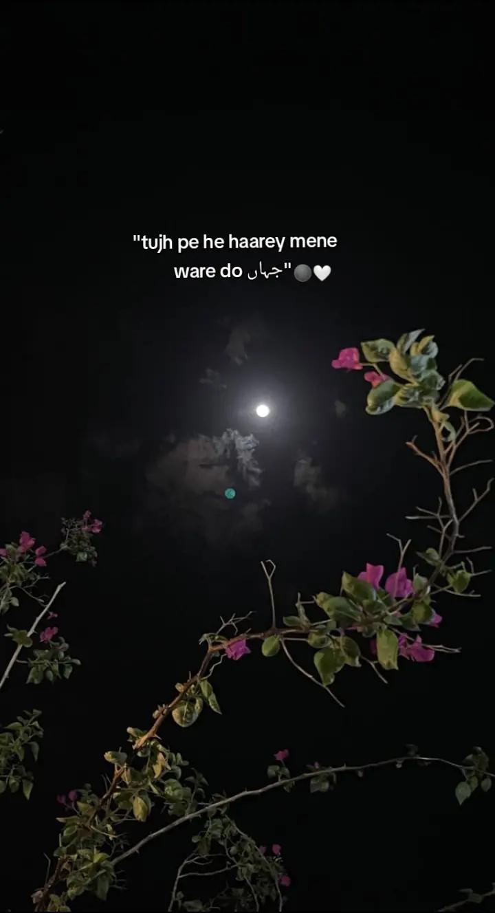 @م🦋