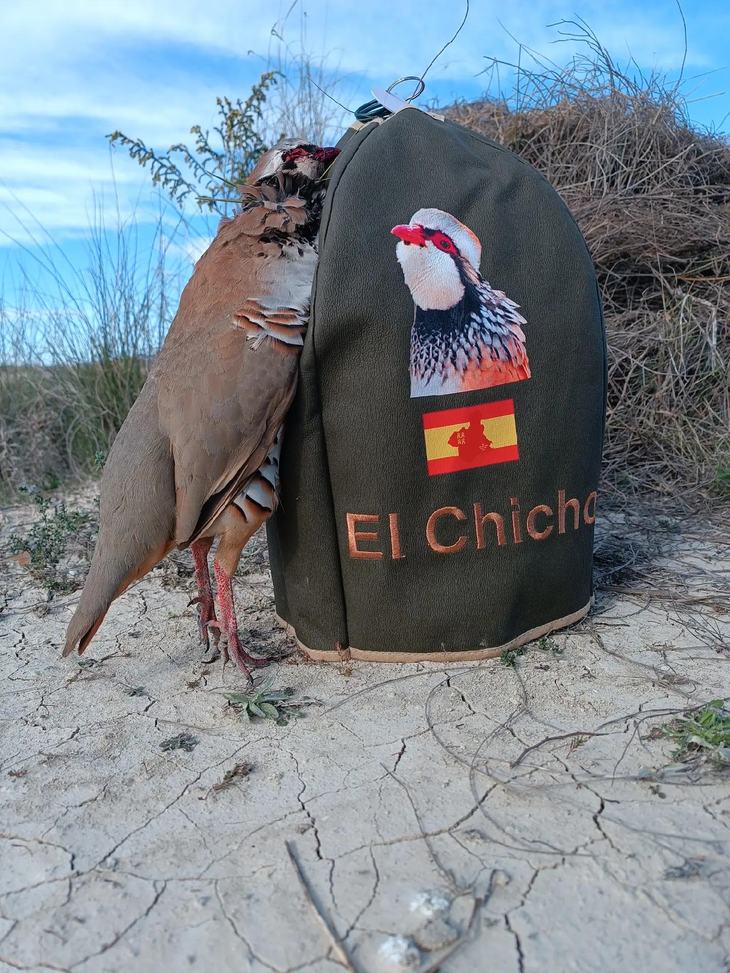 @EL CHICHO