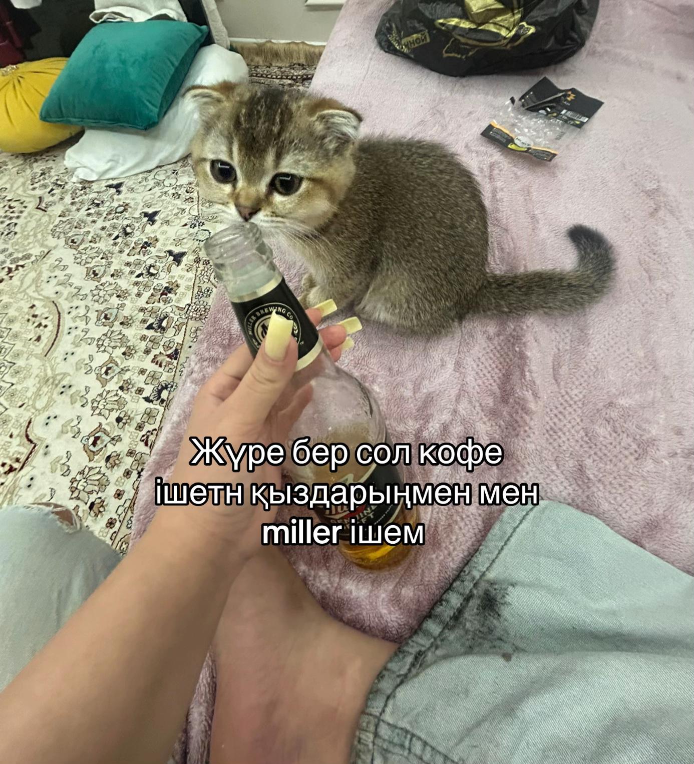 @M/