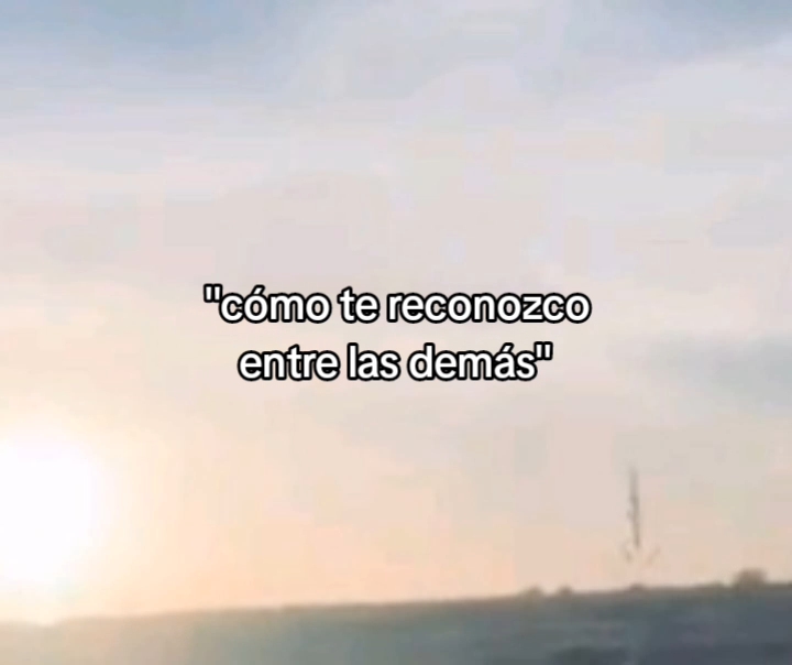 @🌺