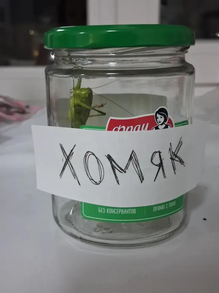 @Лишко🫦