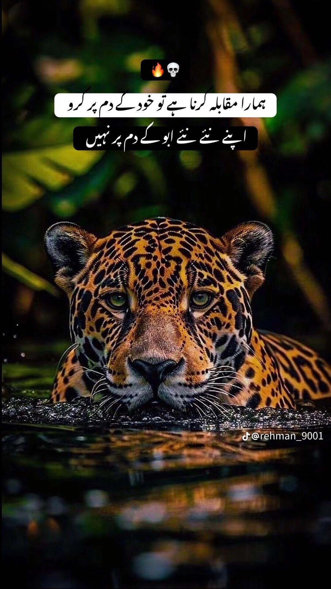 @🇵🇰 BHATTi SAB 🇬🇧