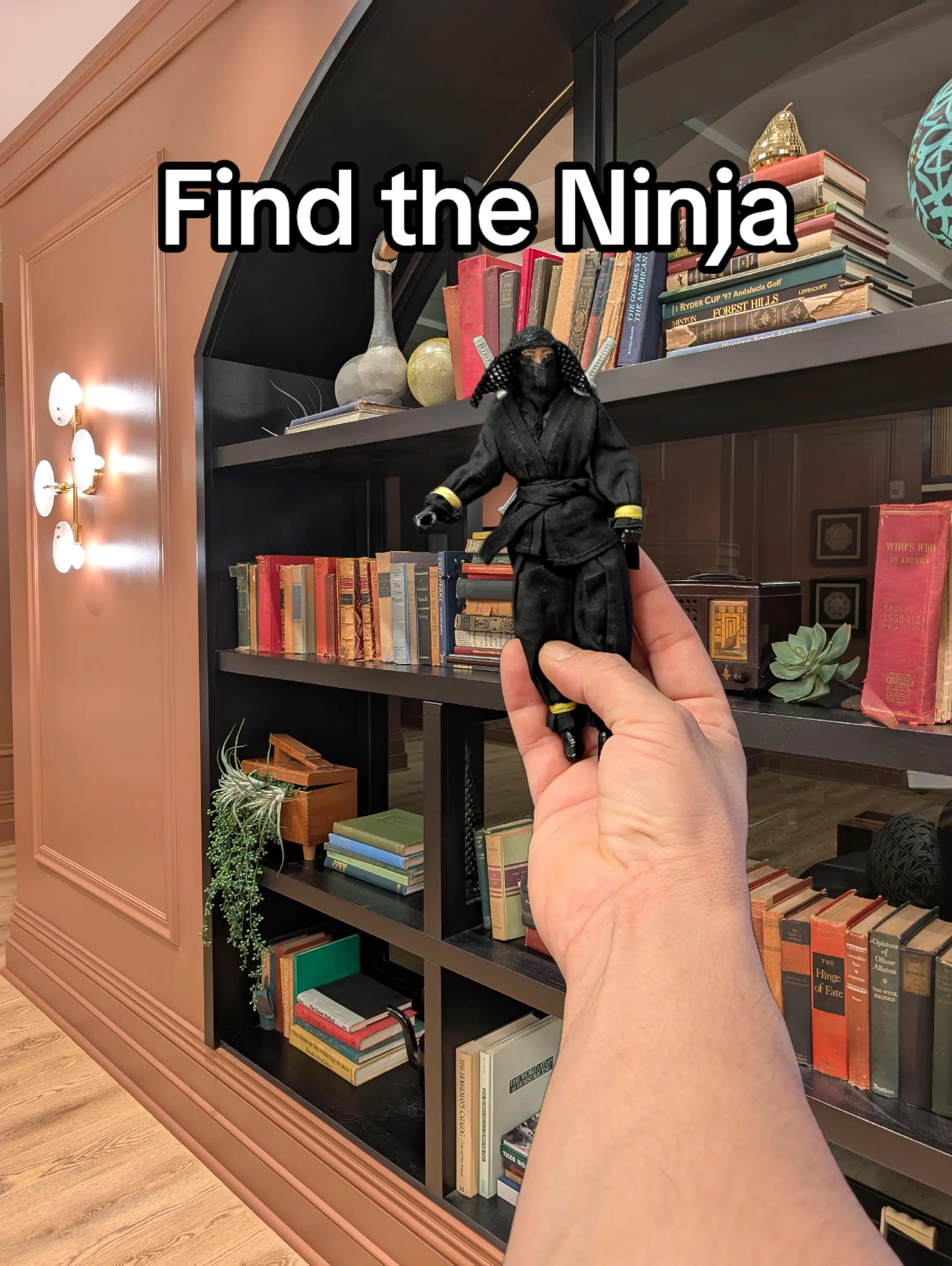 @SpotTheSneakyNinja