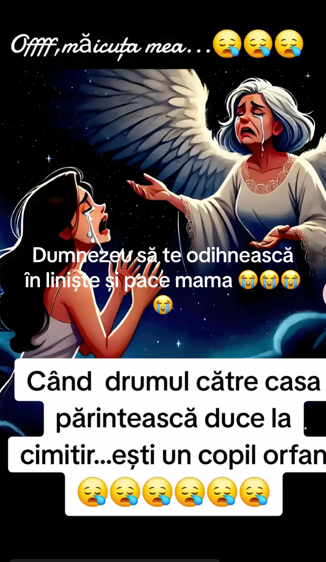 @Daniela Focan