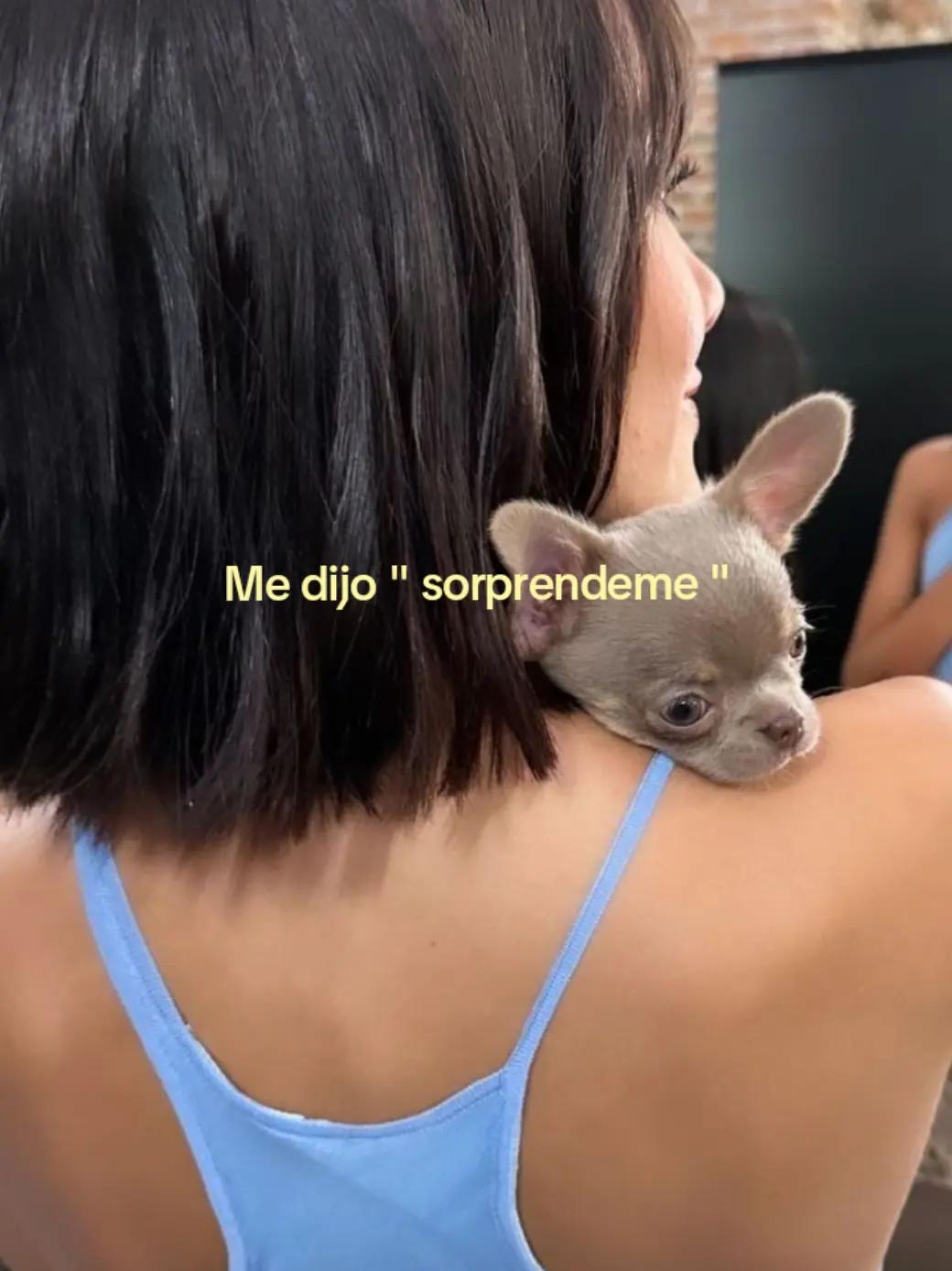 @𝓜𝓲𝓪