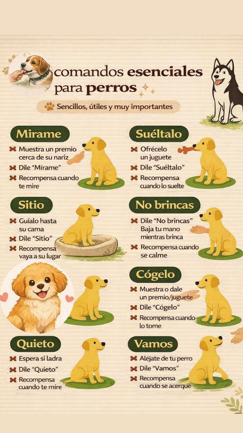@Todo para tu peludo
