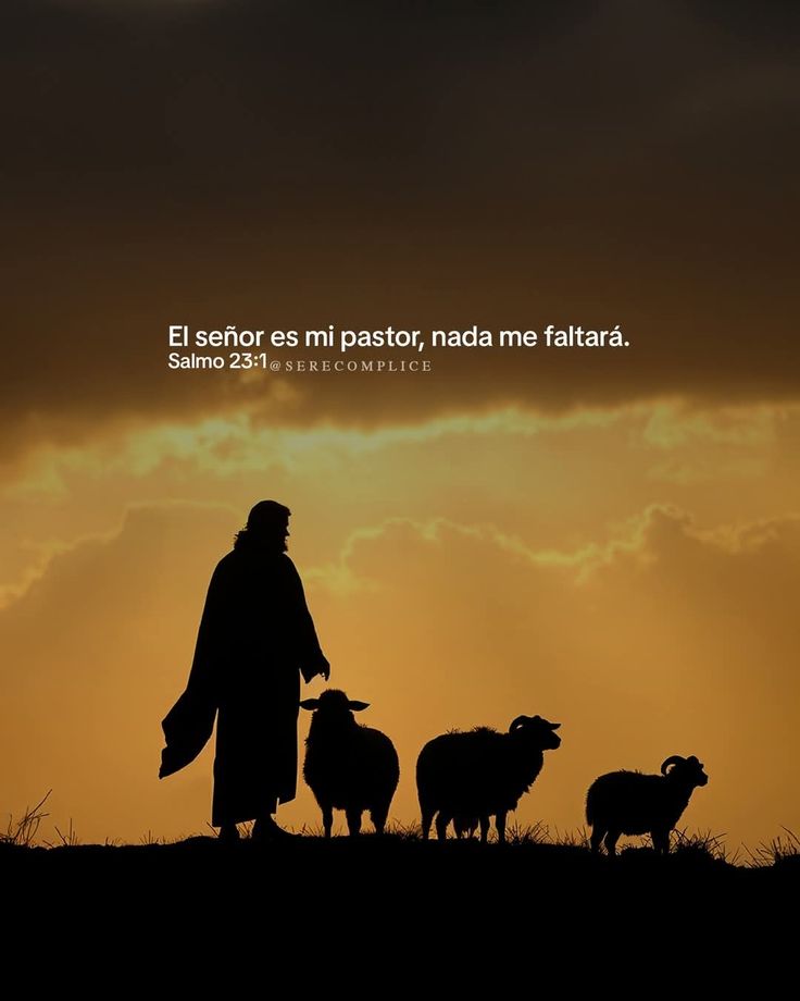 @Ingrid Moreno