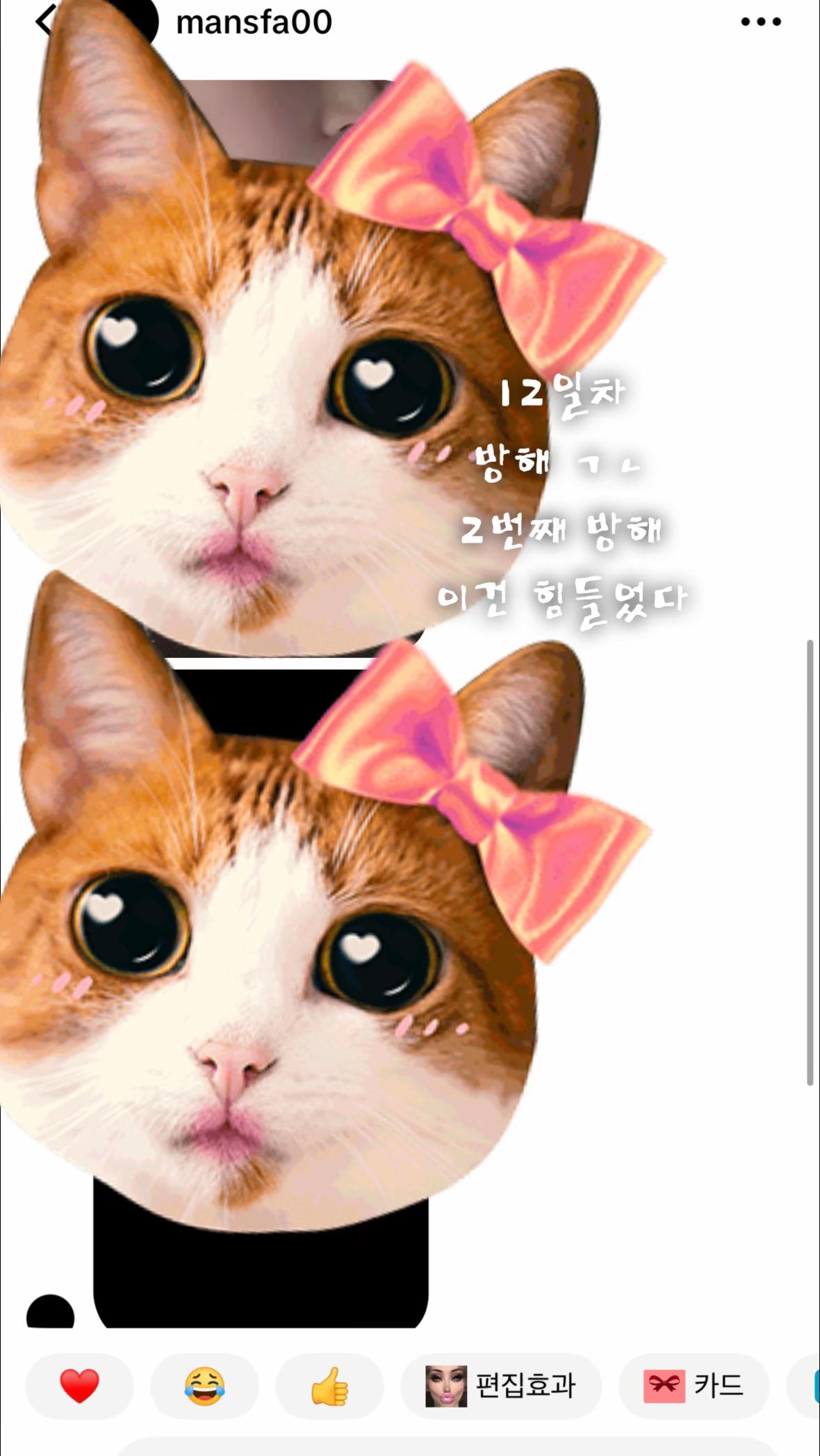 @금딸