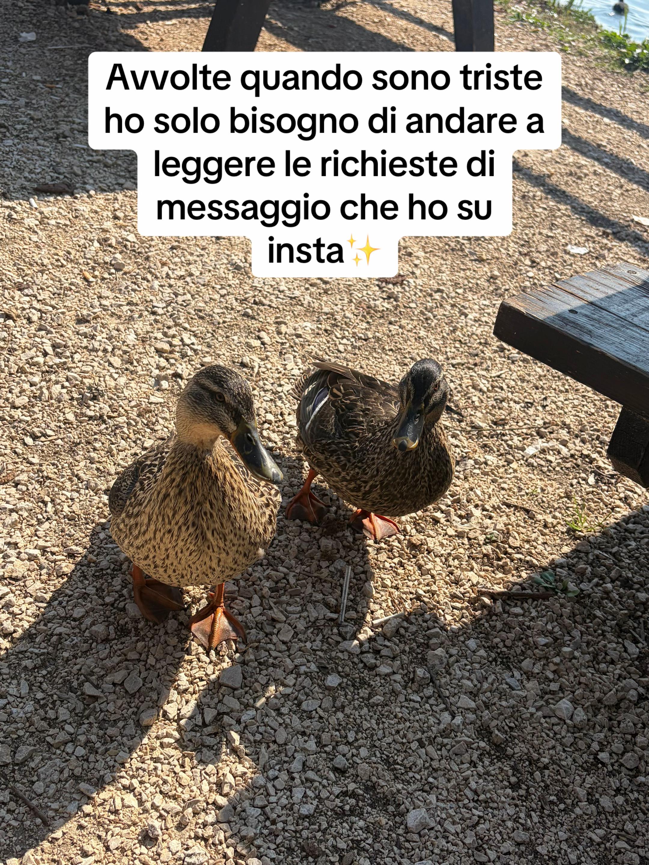 @Alessia Vano
