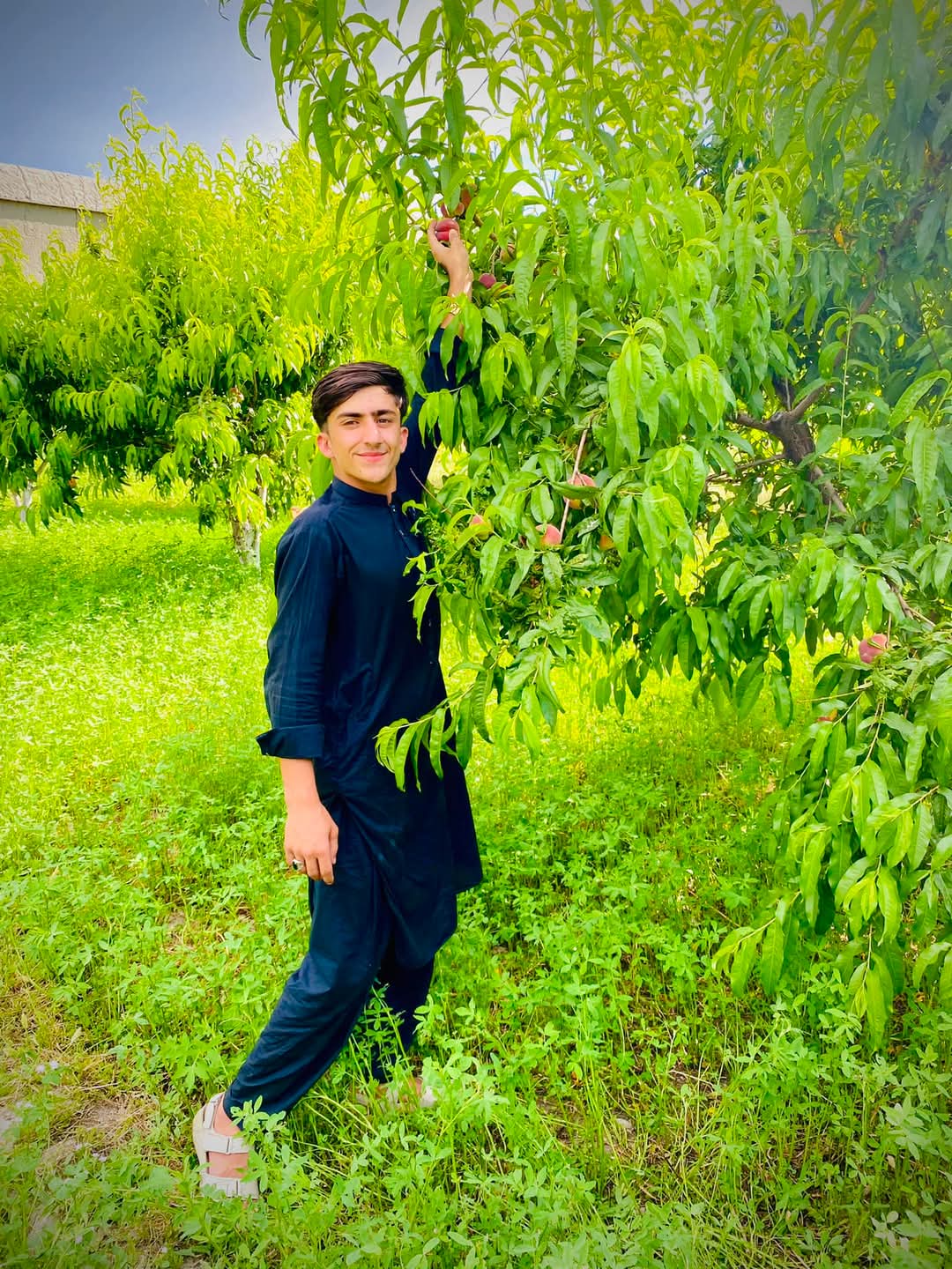 @Sultan Ahmad