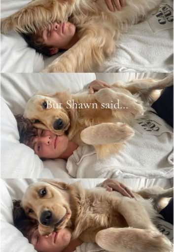 @loveushawnie