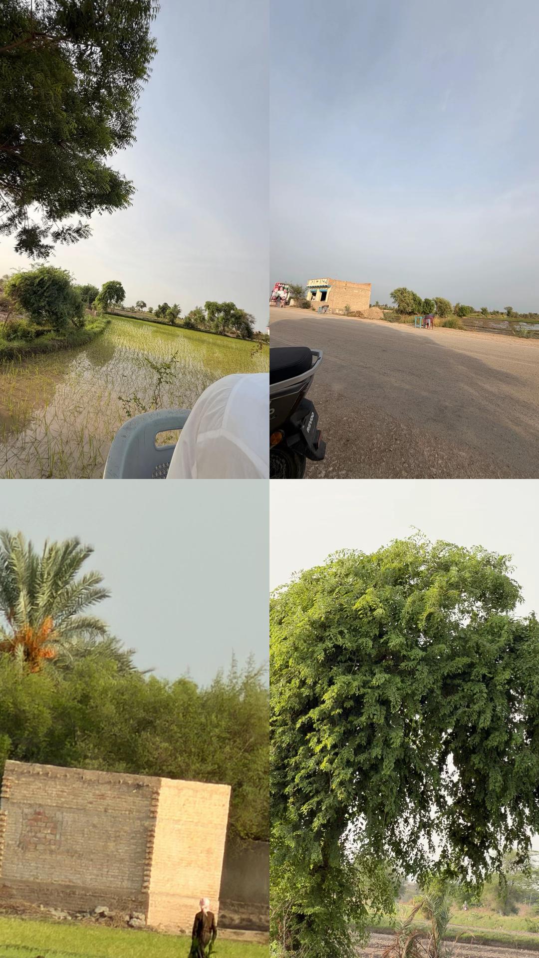 @KOجO_SHOKRO⛎